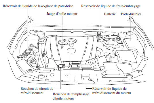 Vue générale du compartiment moteur