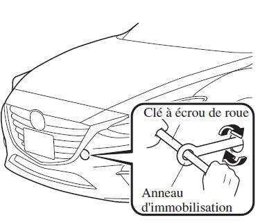 Crochets d'immobilisation