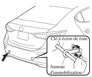 Crochets d'immobilisation