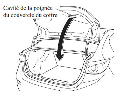 Fermeture du hayon/couvercle du coffre