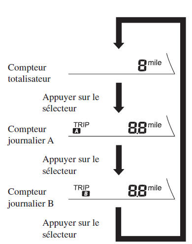 Type A/Type B