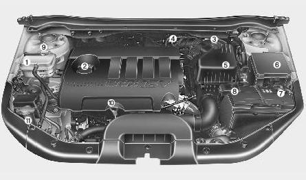 Compartiment moteur