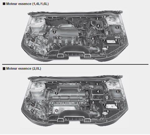 Compartiment moteur