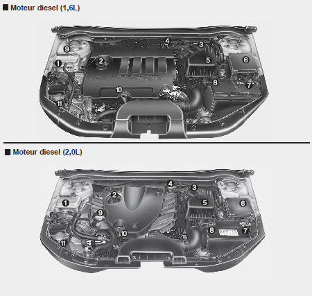 Compartiment moteur